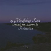 25 Mindfulness Rain Sounds for Lovers & Relaxation