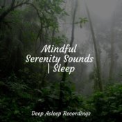 Mindful Serenity Sounds | Sleep