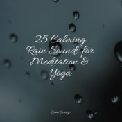 25 Calming Rain Sounds for Meditation & Yoga