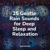 25 Gentle Rain Sounds for Deep Sleep and Relaxation