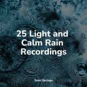 25 Light and Calm Rain Recordings