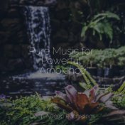 Pure Music for Powerful Ambience