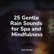 25 Gentle Rain Sounds for Spa and Mindfulness