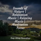 Sounds of Nature | Relaxation Music | Relaxing Music | Meditation Focus