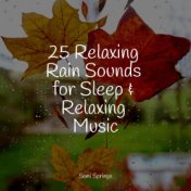 25 Relaxing Rain Sounds for Sleep & Relaxing Music