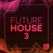 Future House, Vol. 3