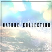 Nature Collection