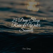 25 Deep Sleep Rain & Water Sounds