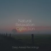 Natural Relaxation Collection