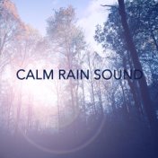 Calm Rain Sound