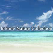 Infinite Nature Collection