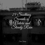 25 Soothing Sounds of Nature and Steady Rain