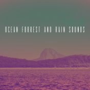 Ocean Forrest And Rain Sounds