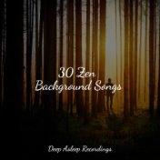 30 Zen Background Songs