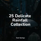 25 Delicate Rainfall Collection