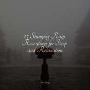 25 Stunning Rain Recordings for Sleep and Relaxation