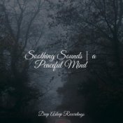 Soothing Sounds | a Peaceful Mind