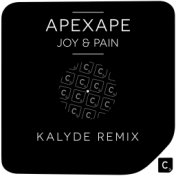 Joy & Pain (Kalyde Remix)