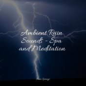 Ambient Rain Sounds - Spa and Meditation