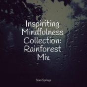 Inspiriting Mindfulness Collection: Rainforest Mix