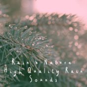 Rain & Nature: High Quality Rain Sounds