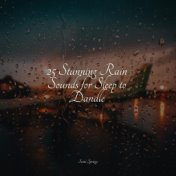 25 Stunning Rain Sounds for Sleep to Dandle