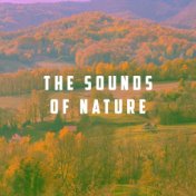 The Sounds Of Nature