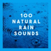 100 Natural Rain Sounds