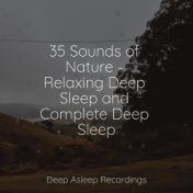 35 Sounds of Nature - Relaxing Deep Sleep and Complete Deep Sleep