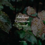 Ambient Rainstorm Sounds