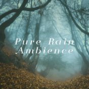 Pure Rain Ambience