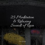 25 Meditation & Relaxing Sounds of Rain
