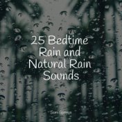 25 Bedtime Rain and Natural Rain Sounds