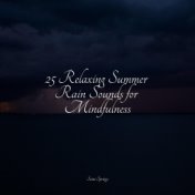 25 Relaxing Summer Rain Sounds for Mindfulness