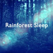 Rainforest Sleep