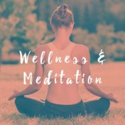 Wellness & Meditation