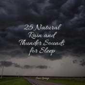 25 Natural Rain and Thunder Sounds for Sleep