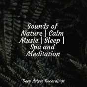 Sounds of Nature | Calm Music | Sleep | Spa and Meditation