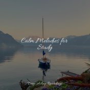 Calm Melodies for Study