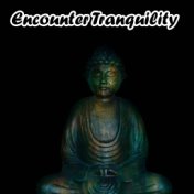 Encounter Tranquility