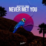 Never Met You