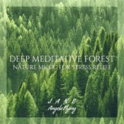 Deep Meditative Forest (Nature Music for Stress Relief, Nature ASMR, Sleep in the Forest, Rolling Waves, Wake Up with Birds Sing...