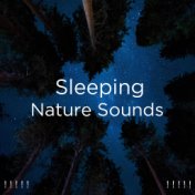 ! ! ! ! ! Sleeping Nature Sounds ! ! ! ! !