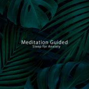 Meditation Guided Sleep for Anxiety (Healing New Age Music, Anti Stressful Day)