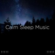 ! ! ! ! ! Calm Sleep Music ! ! ! ! !