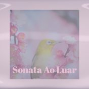 Sonata Ao Luar