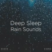! ! ! ! ! Deep Sleep Rain Sounds ! ! ! ! !