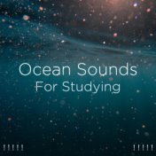 ! ! ! ! ! Ocean Sounds For Studying ! ! ! ! !