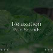 ! ! ! ! ! Relaxation Rain Sounds ! ! ! ! !
