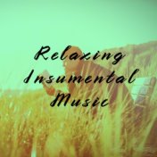 Relaxing Insumental Music (Acoustic Guitar and Piano)